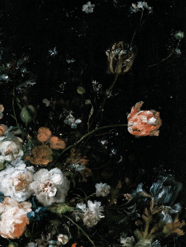 Tulipes perroquet et roses blanches peintes à la manière hollandaise sur fond noir